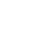 cattle-skull